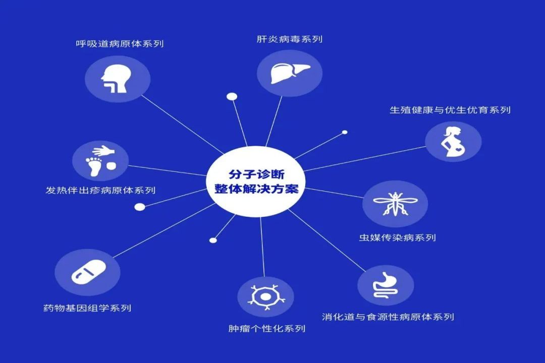 K8官网 - 天生赢家·一触即发