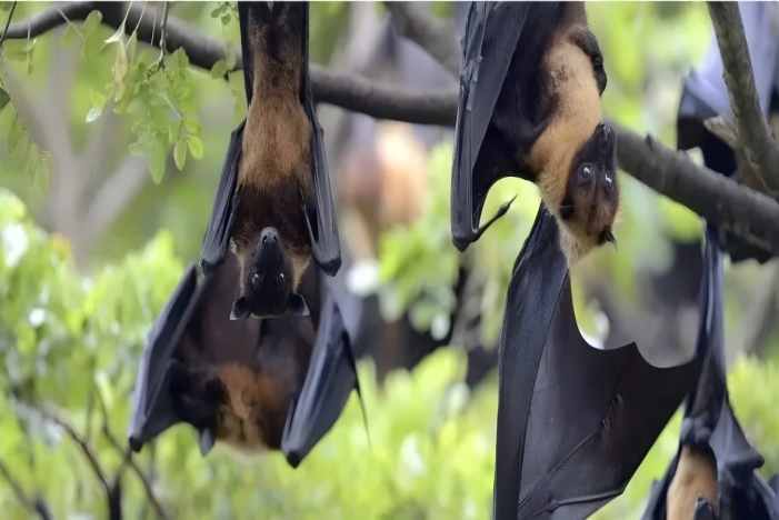 K8官网 - 天生赢家·一触即发